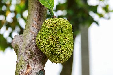 微软已向索尼承诺 《使命召唤》暂不脱离PlayStation